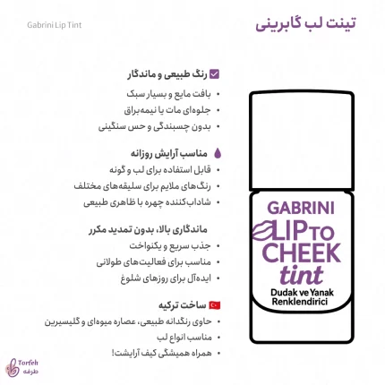 اینفوگرافی تینت لب گابرینی