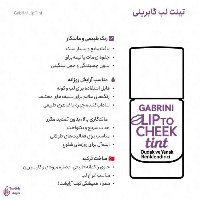 اینفوگرافی تینت لب گابرینی