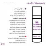 اینفوگرافی پرایمر شیشه‌ای گابرینی